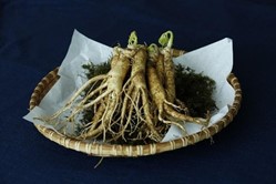 Image de Ginseng